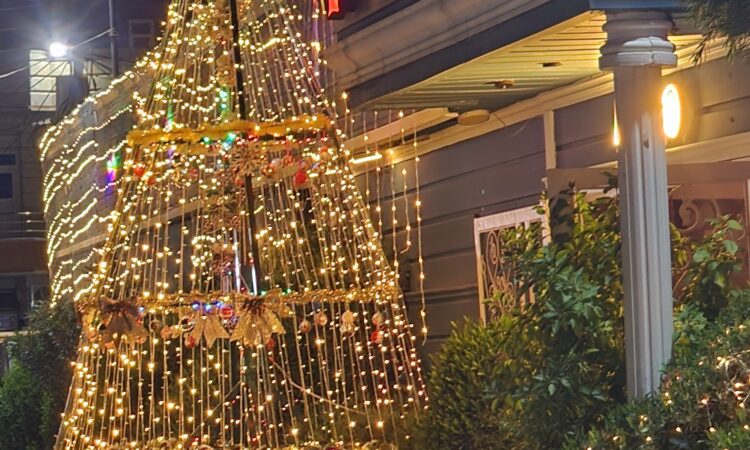 لم يتم العثور علي الصورة