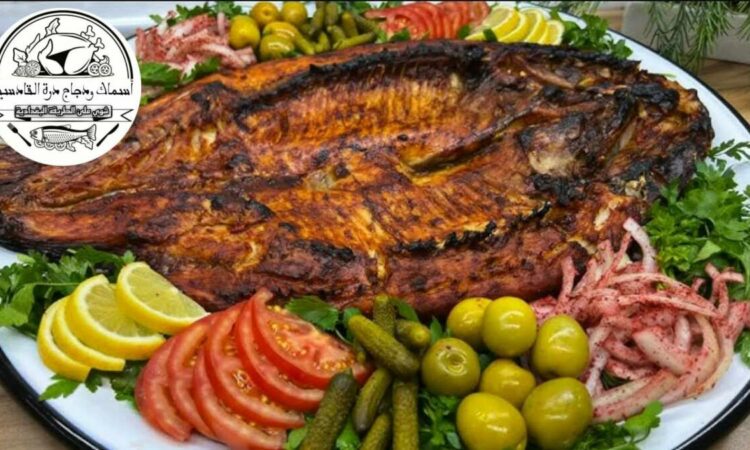 لم يتم العثور علي الصورة