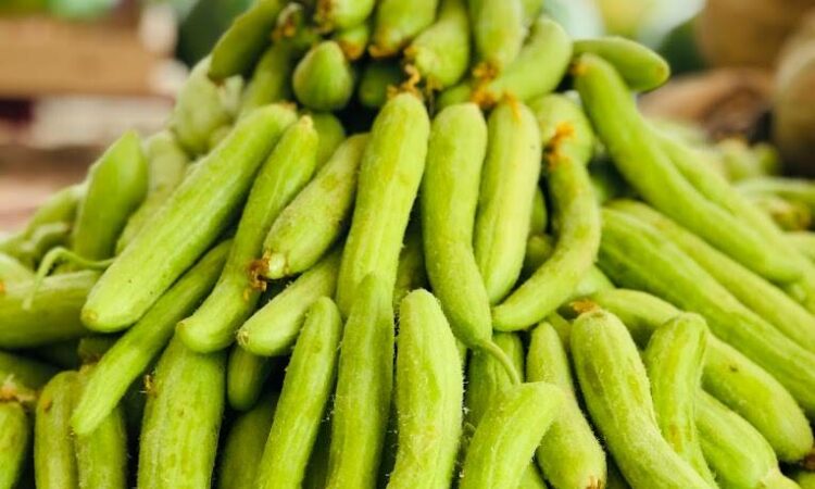 لم يتم العثور علي الصورة