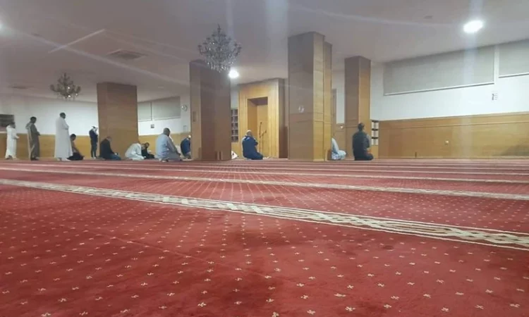 لم يتم العثور علي الصورة