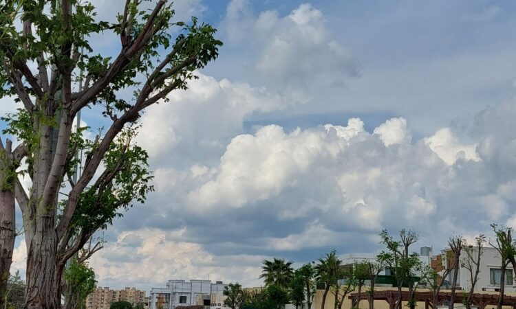 لم يتم العثور علي الصورة