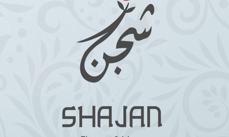لم يتم العثور علي الصورة