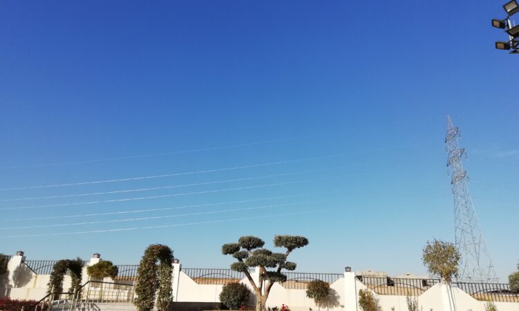 لم يتم العثور علي الصورة