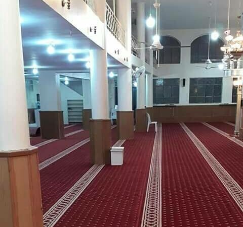 لم يتم العثور علي الصورة