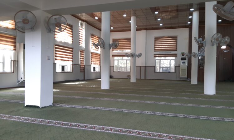 لم يتم العثور علي الصورة