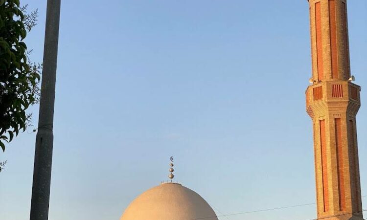 لم يتم العثور علي الصورة