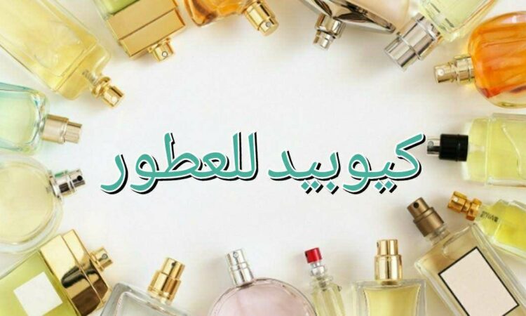 لم يتم العثور علي الصورة