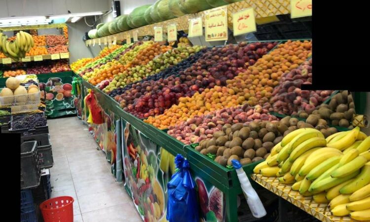 لم يتم العثور علي الصورة